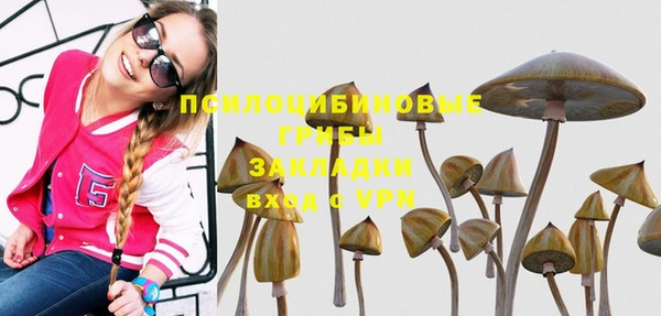 apvp Ладушкин