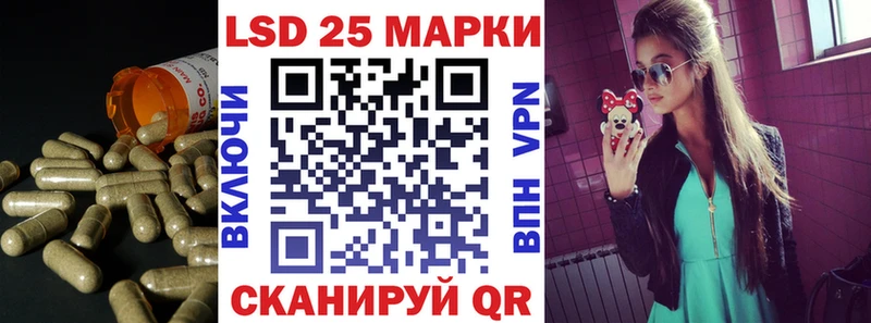 дарнет шоп  Азнакаево  ЛСД экстази кислота 