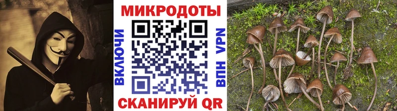Псилоцибиновые грибы Cubensis  Азнакаево 